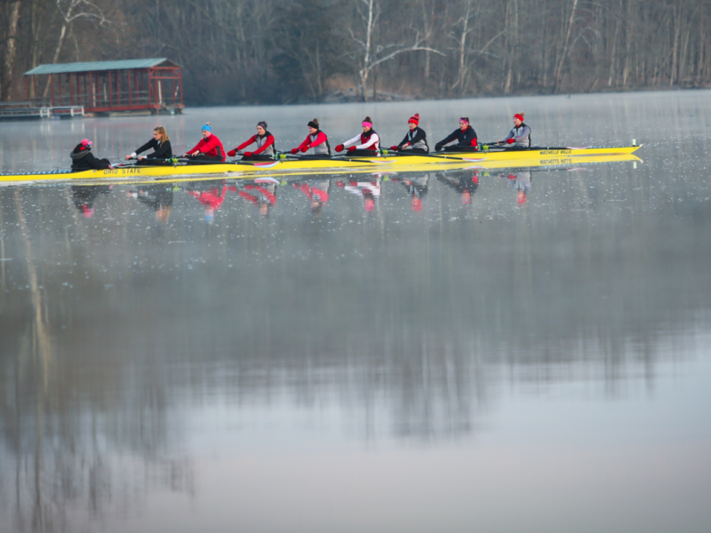 Rowing banner 1 edit