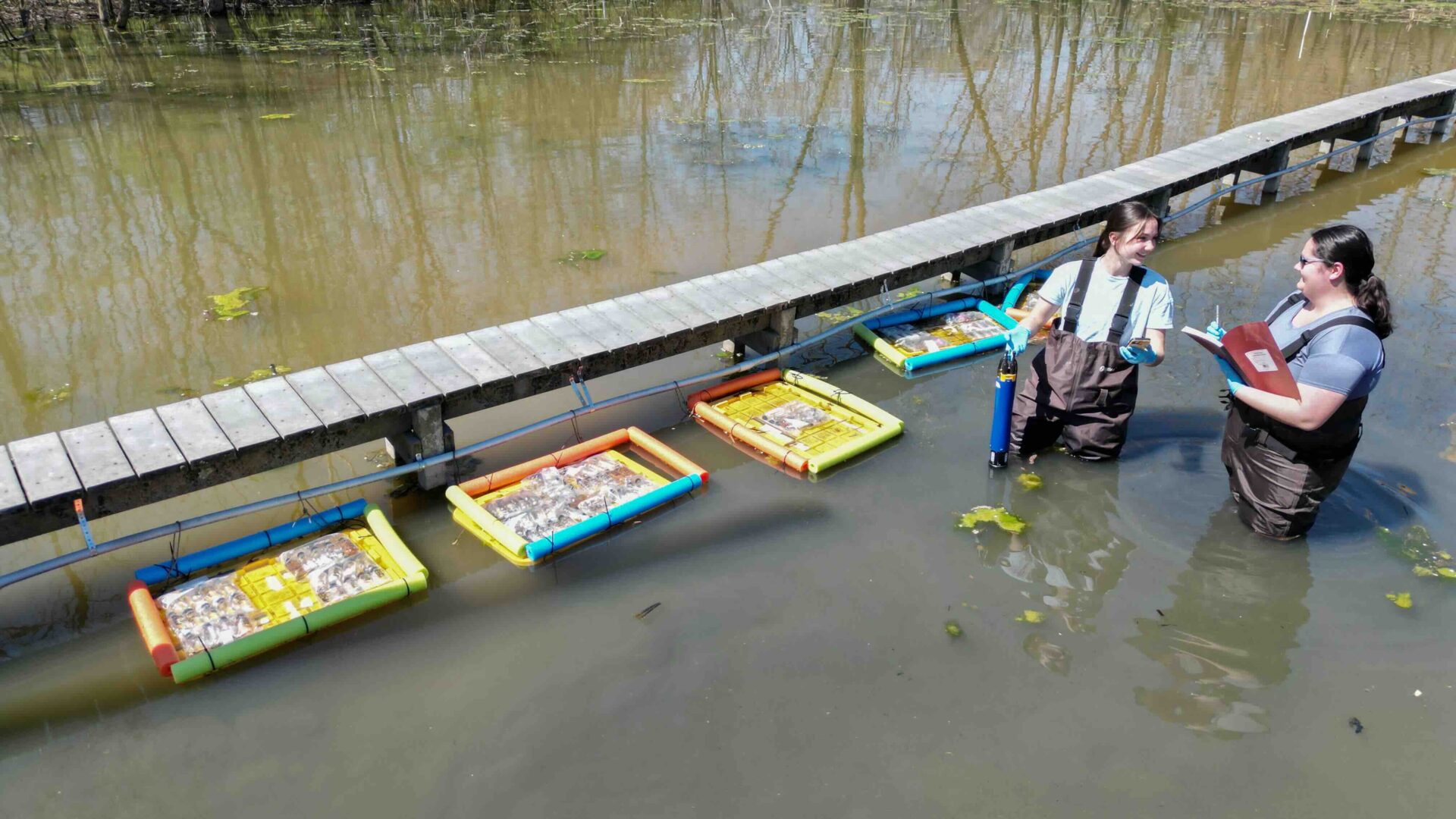 Ohio State students outdoors in a river taking samples